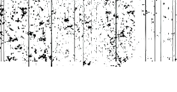 Saybrook Productions